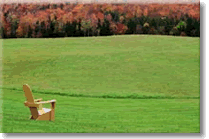 EDIN La Marca del Césped Campo de cultivo de Césped natural. Césped en